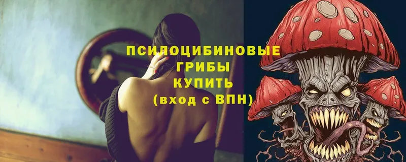 купить наркотики цена  kraken зеркало  Псилоцибиновые грибы Psilocybine cubensis  Ипатово 